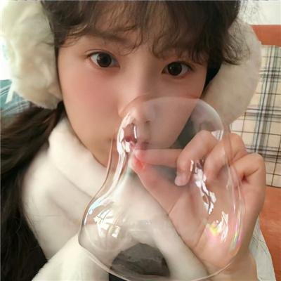 万物生灵 第二季