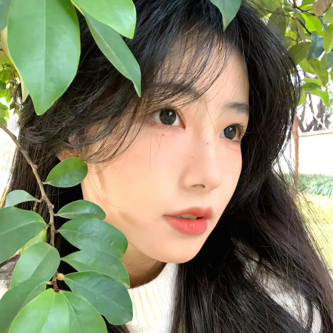 少林门